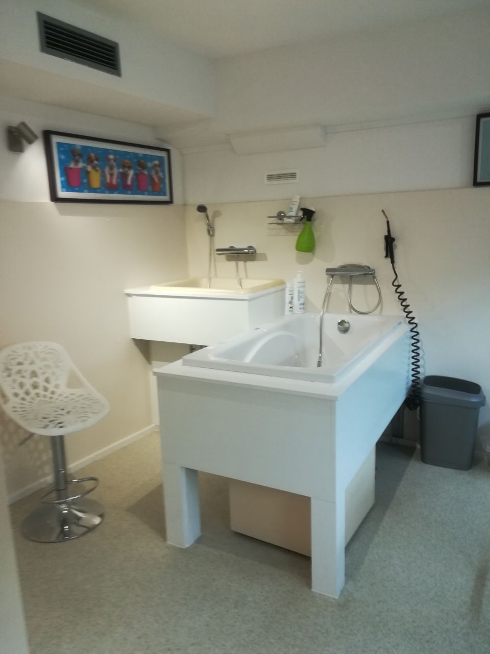 Der Hundesalon Landshut